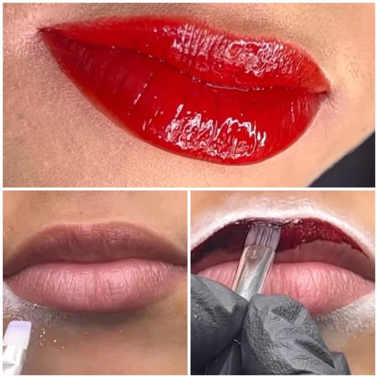 Henna Lip Training Manual